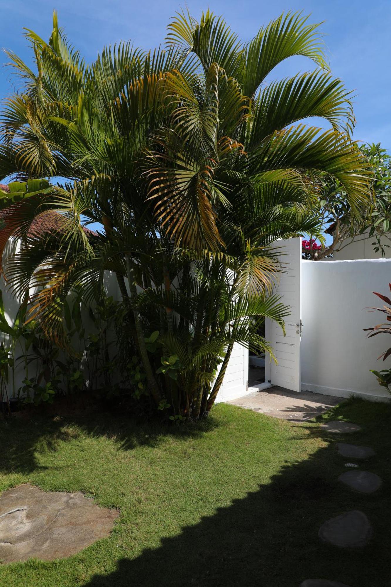 Villa Tom & Lucie Bingin Beach أُلُواتو المظهر الخارجي الصورة